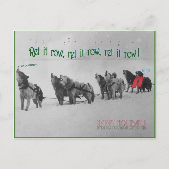 Singing Sled Hundar: SItka Alaska Malamute Choir Vykort (Framsida)