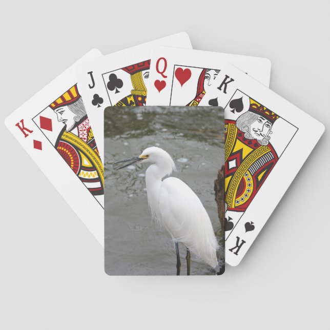 Singing Snowy Egret Casinokort (Baksidan)
