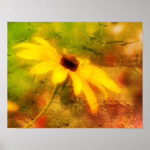 Single Black Eyed Susan Daisy Abstrakt Grunge Poster