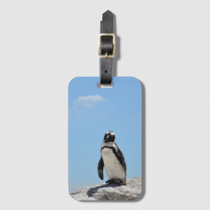 Single Cute Penguin och Blå himmel Bagagebricka