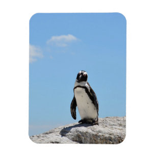 Single Cute Penguin och Blå himmel Magnet