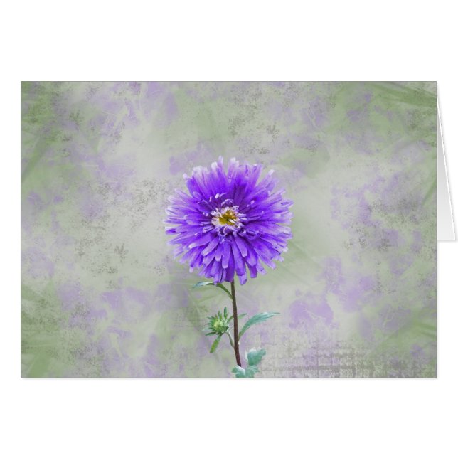 Single Dahlia OBS Kort (Framsidan Horizontal)