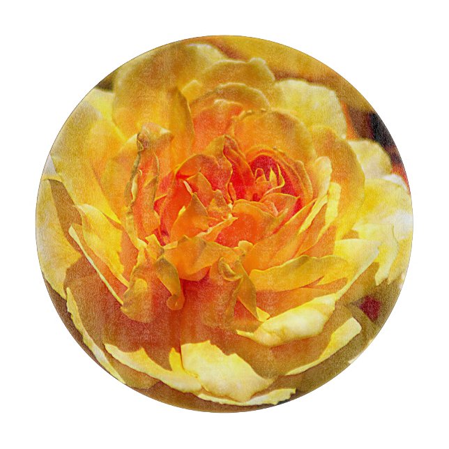 Single gul ros (Framsidan)