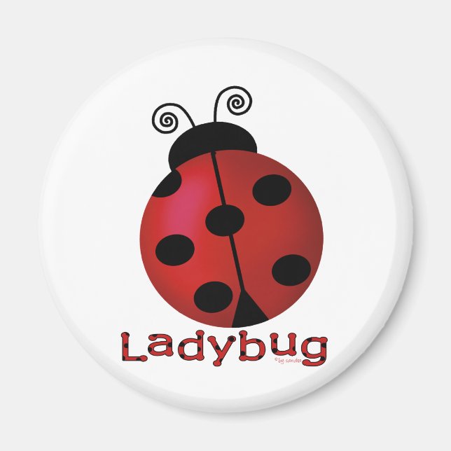 Single Ladybug Magnet (Framsidan)