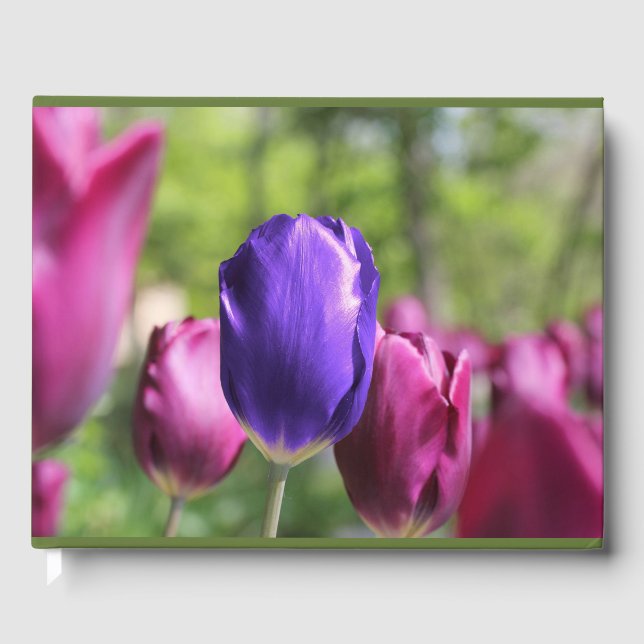 Single Lila Tulip Gästböcker (Framsida)
