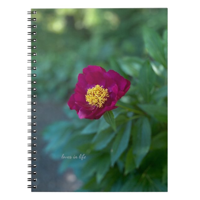 Single Peony Anteckningsbok (Framsidan)