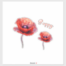 Single Red Poppy Flower