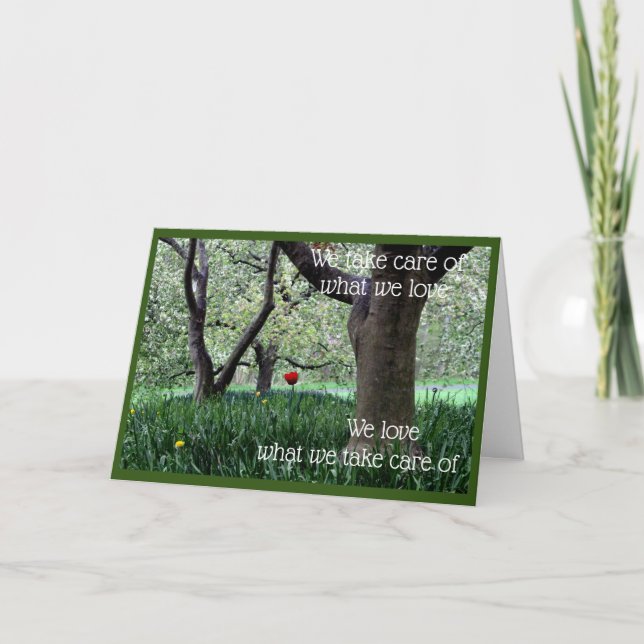 Single Red Tulip for Kärlek och Caring Kort (Framsida)