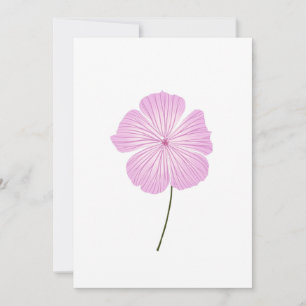 Single Rosa Lavatera Inbjudningar