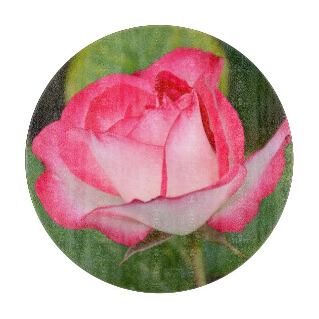 Single rosa ros (Framsidan)