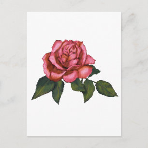Single Rosa ros: Färg Teckning: Konst Vykort
