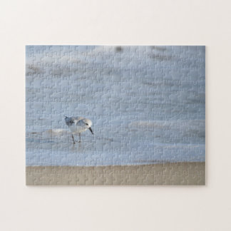 Single Sandpiper walking on beach Pussel
