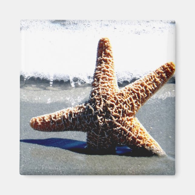 Single Starfish Tvättat Ashore Magnet (Framsidan)