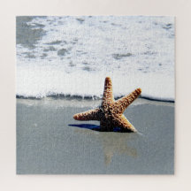 Single Starfish Tvättat Ashore