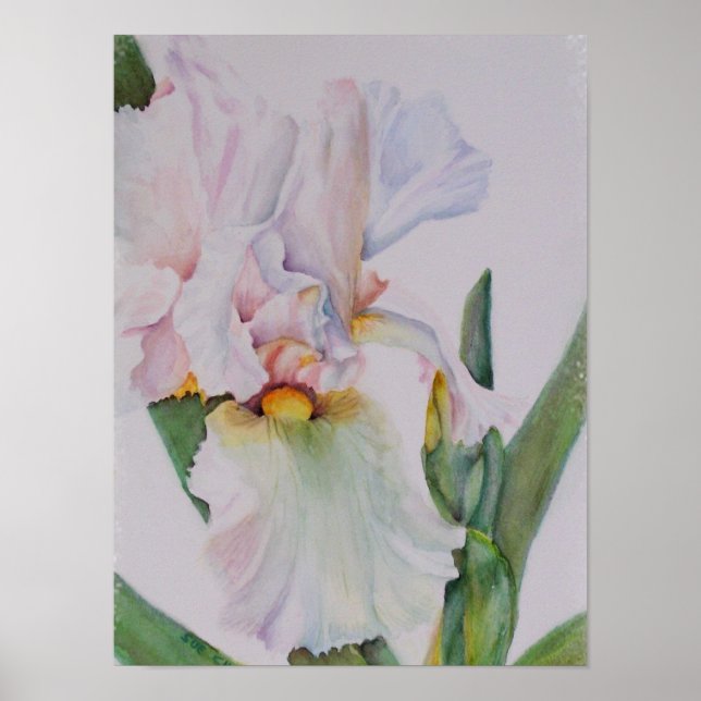 Single White Iris Poster (Framsidan)