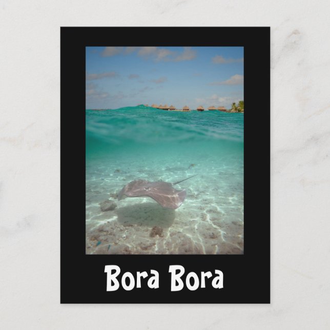 Singray under vatten i Bora Bora Svart kort (Framsida)