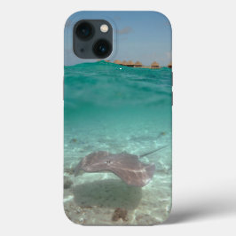 Singray under water in Bora Bora iphone cover