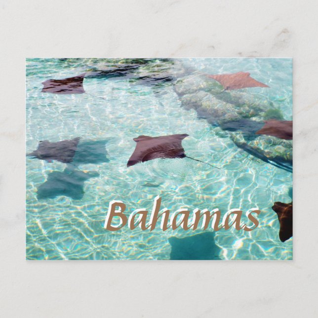 Singray Vykort (Framsida)