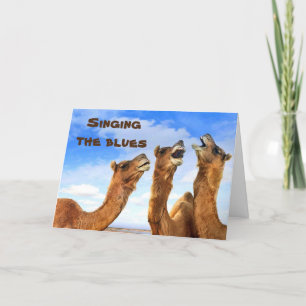 SINGS CAMELS SJUNGA BLUES-GET WELL KORT