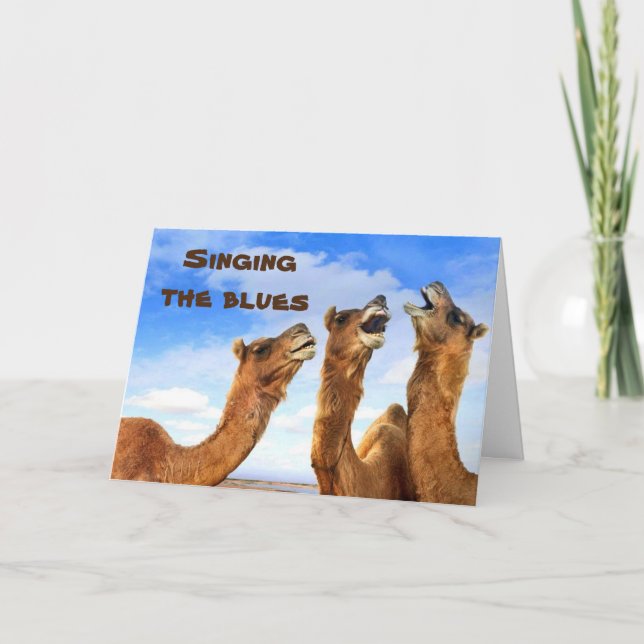 SINGS CAMELS SJUNGA BLUES-GET WELL KORT (Framsida)