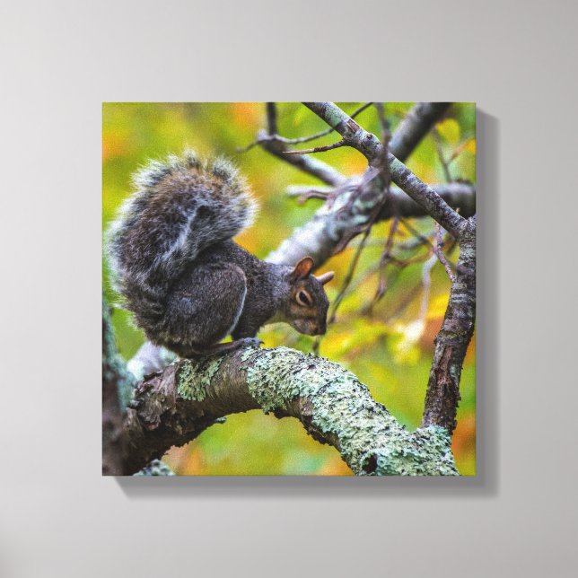 SINISTER SQUIRREL WRAPPED CANVAS PRINT (Framsida)