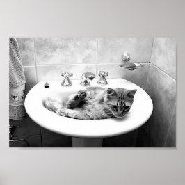 sink_cat_12 Pets kattungadömma djur Poster