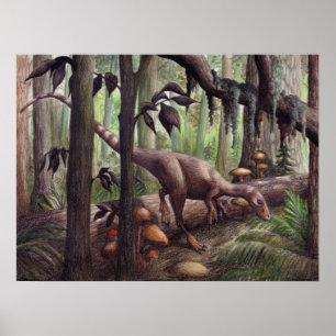 Sinosauropteryx Skriv ut Poster
