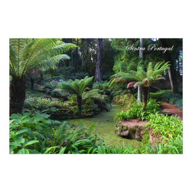 Sintra Portugal Fototryck (Framsidan)