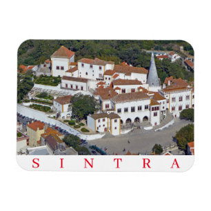 Sintrampanoramabildsmagnet Magnet