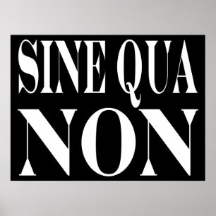 Sinus - qua - non berömdt latinskt poster