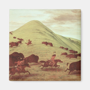 Sioux indier som jagar buffeln, 1835 (olja på magnet