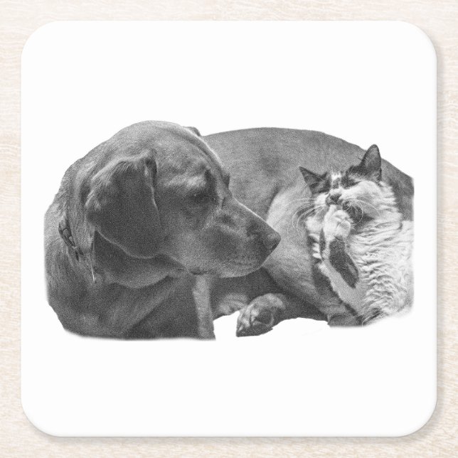 Sip Break med Pals Underlägg Papper Kvadrat (Framsidan)