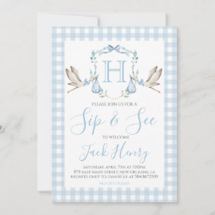 Sip & See Boy Stork Preppy Blue Gingham Inbjudningar