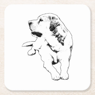 Sip Watch Retriever Underlägg Papper Kvadrat