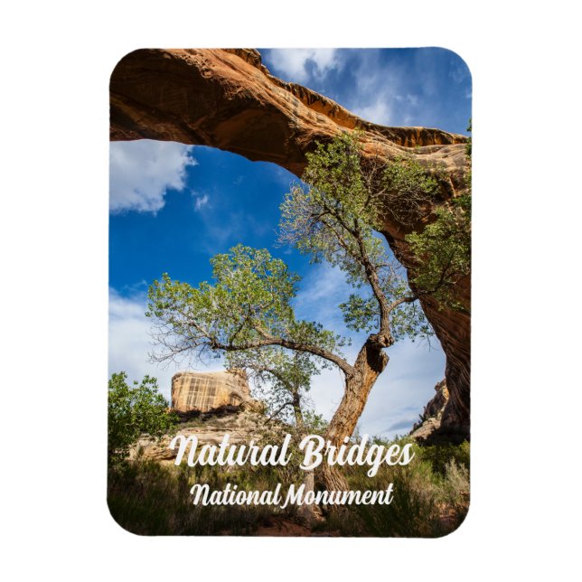 Sipapu-bron, naturbryggens nationalmonument magnet (Vertikal)
