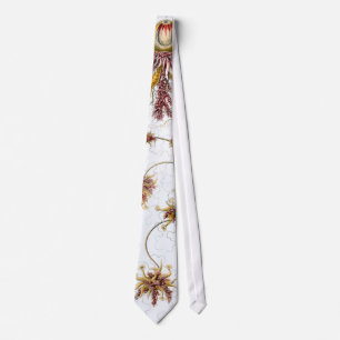 Siphonophorae Ernst Haeckel Fine Art Slips