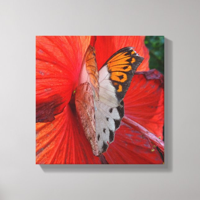 Sipping Sweetly Canvastryck (Framsida)