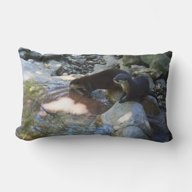 **"Sips by Stream: Otters Drinking from River Lumbarkudde (Framsida)