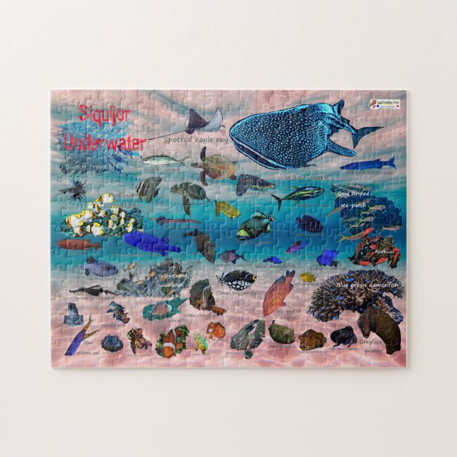 Siquijor Underwater World Pussel (Horisontell)