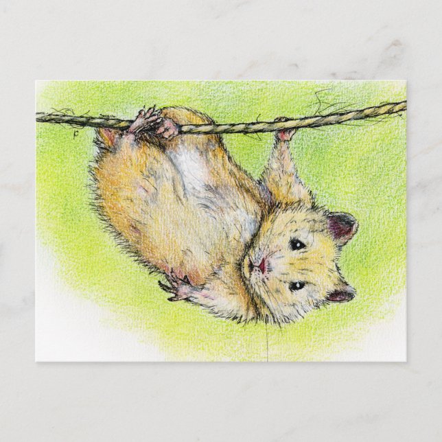 Sir Ham Vykort (Framsida)