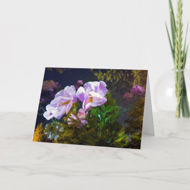 siren kort (Framsida)