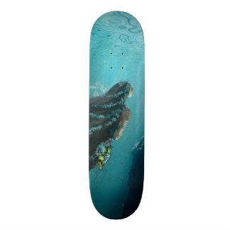 Sirenskateboard Skateboard Bräda 20,5 Cm