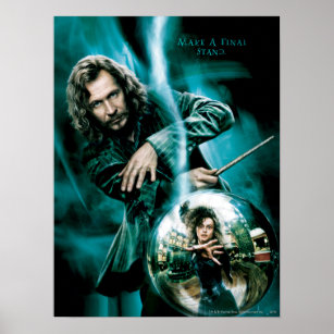 Sirius Black och Bellatrix Leodd Poster