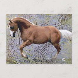 SirRHMaximilian2 Vykort