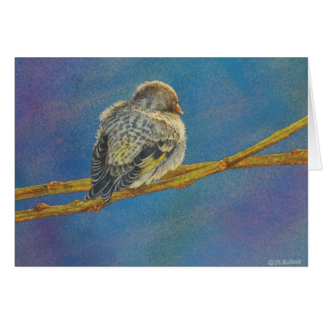 Siskin Siesta Hälsningskort (Framsidan Horizontal)