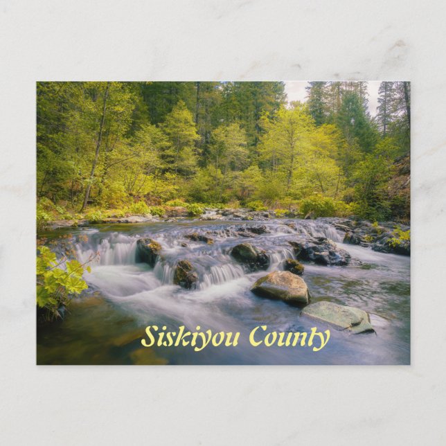 Siskiyou County Postcard Vykort (Framsida)