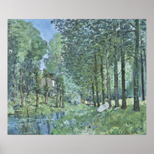 Sisley Kant of Wood, Poster