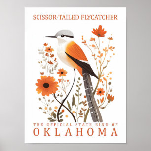 Sissor Tails Flycatcher Bird of Oklahoma Poster