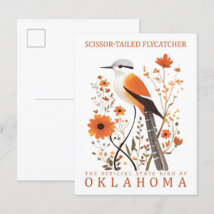 Sissor Tails Flycatcher Bird of Oklahoma Vykort