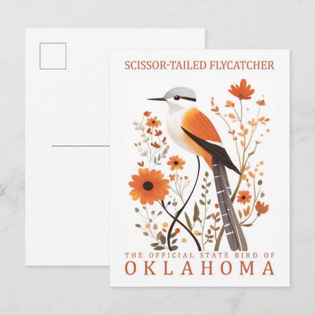 Sissor Tails Flycatcher Bird of Oklahoma Vykort (Fram/baksida)